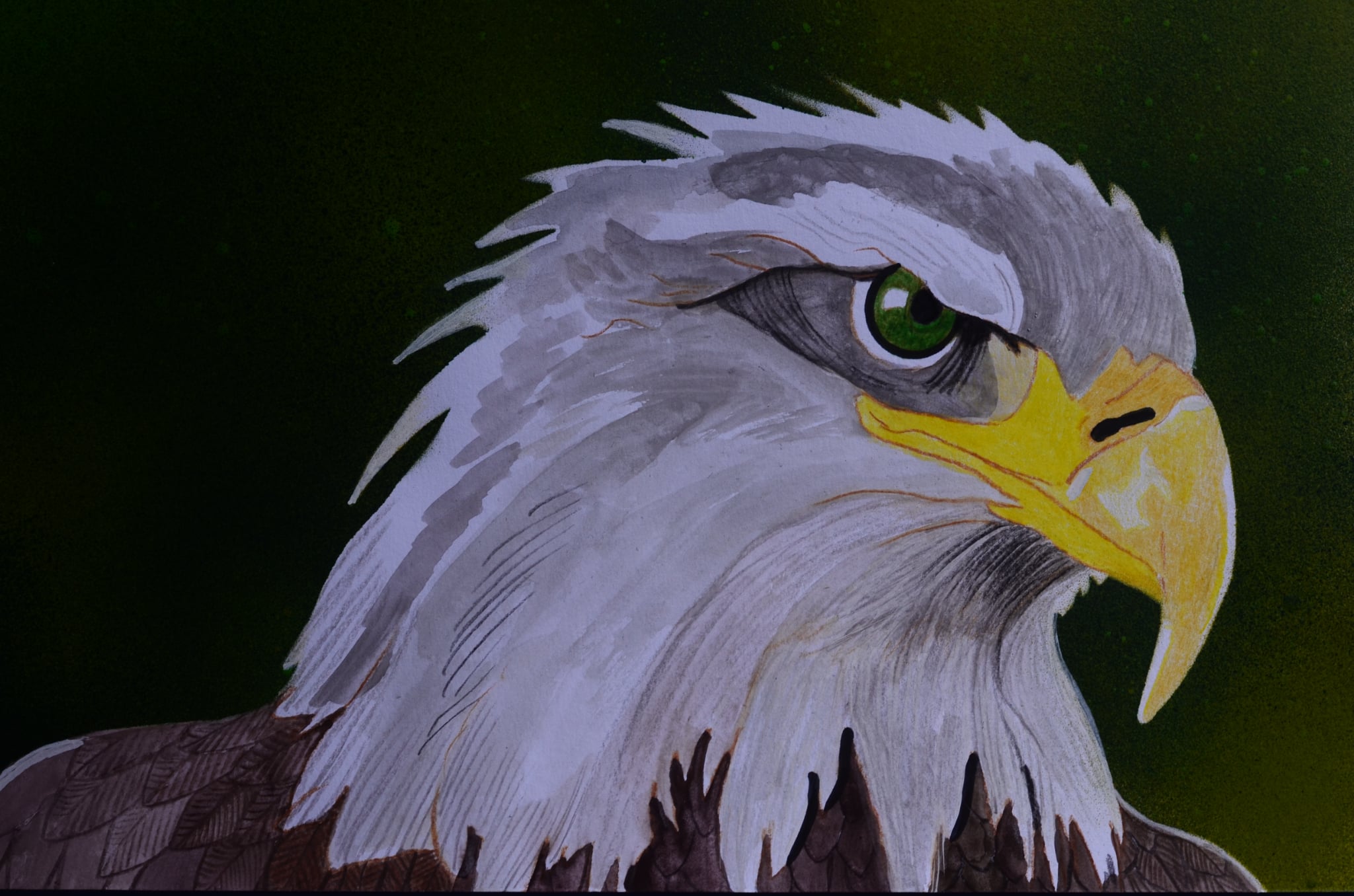 499ef629-ff6b-4432-80c2-390e9efafa1d