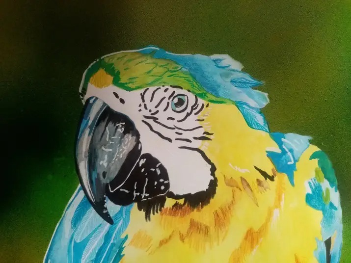 503425300_4144403762511390_4250613466908836536_n