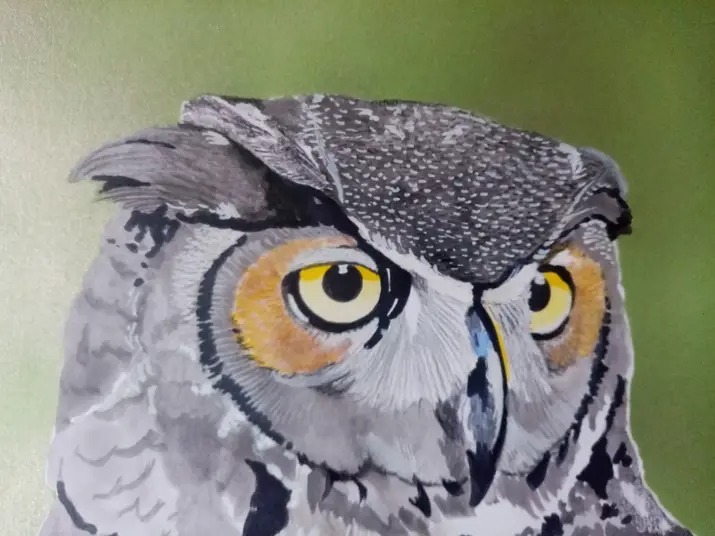 504196309_4144403992511367_8533093608489357585_n