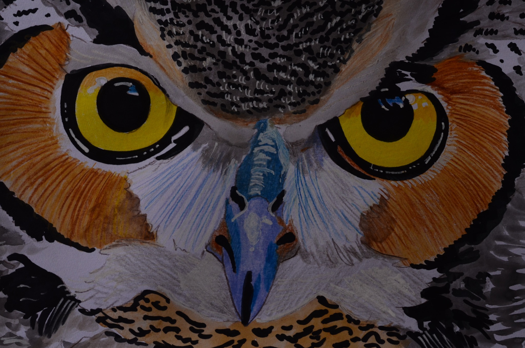 503505731_4144125729205860_1594647876778321829_n