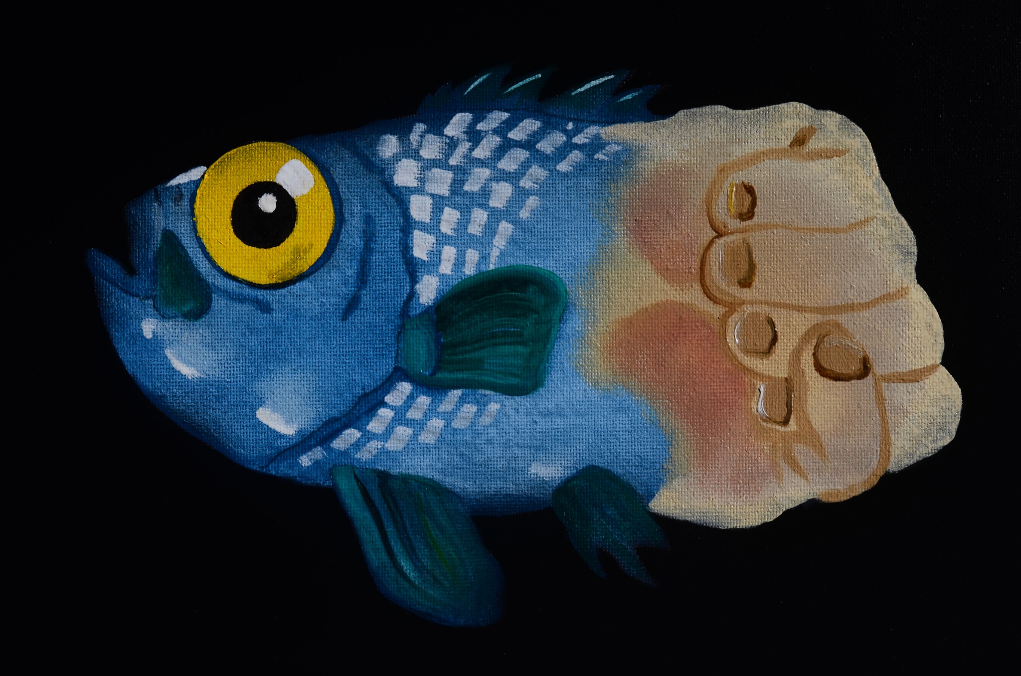 536267492_4215307568754342_4887361407102652490_n