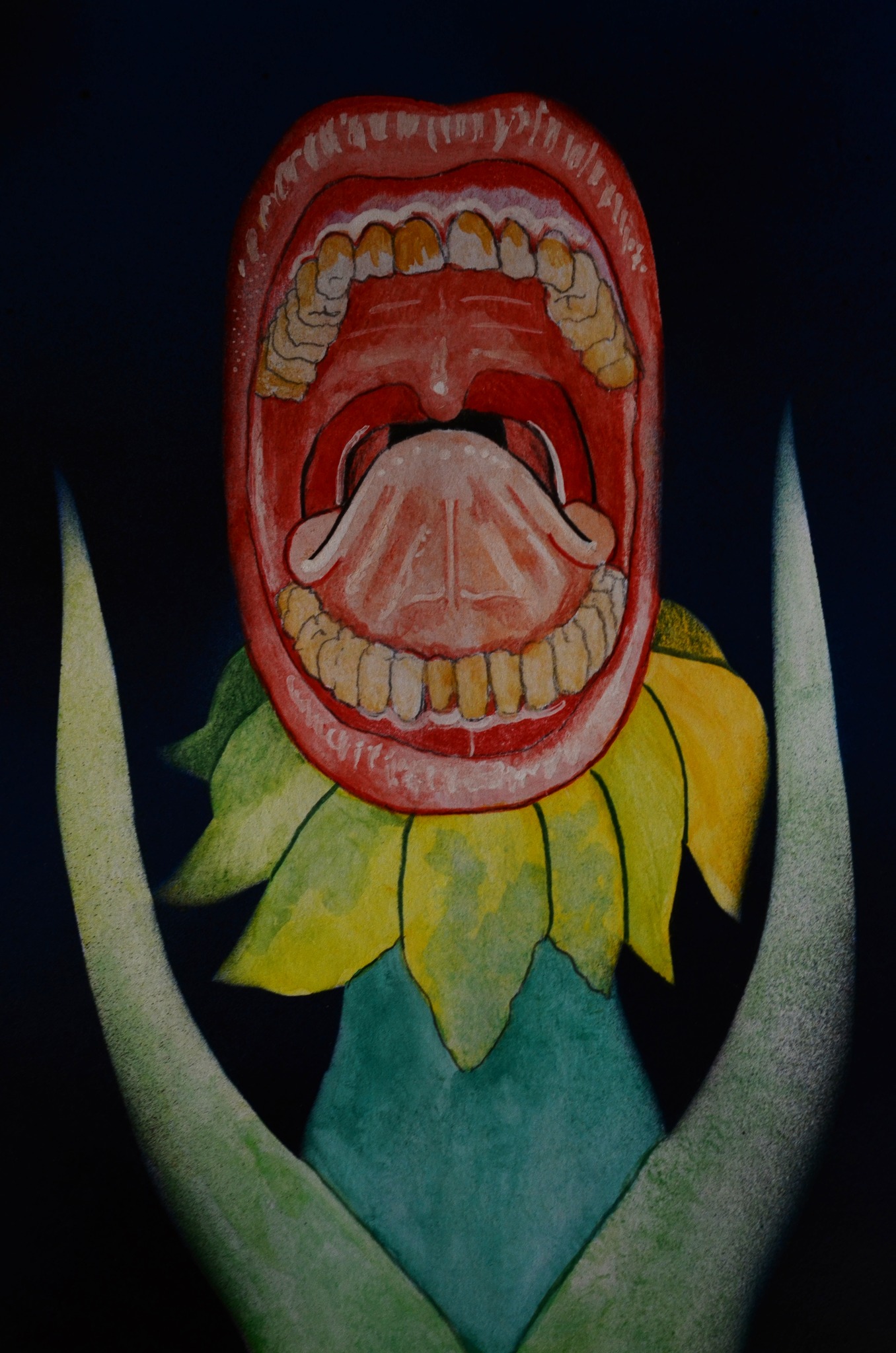 508135882_4155134181438348_6119805810666302936_n