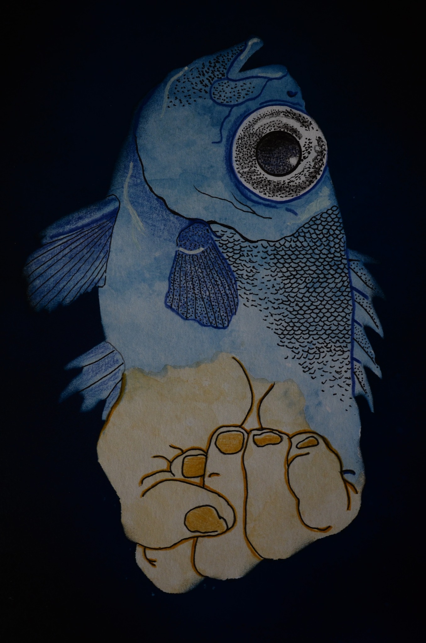 508187423_4155134118105021_5989934325017542428_n