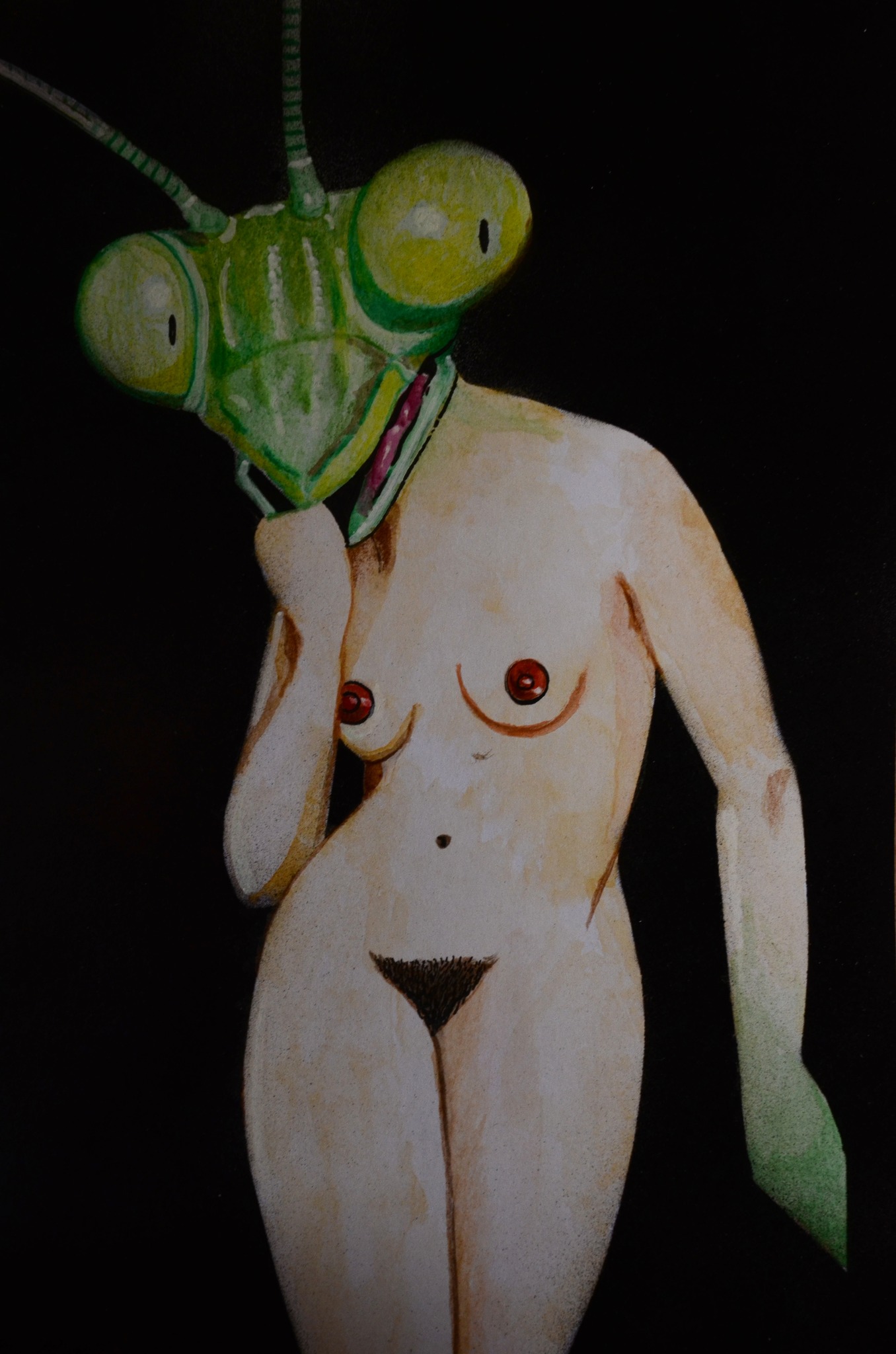 508400311_4155134121438354_3444111738306417761_n